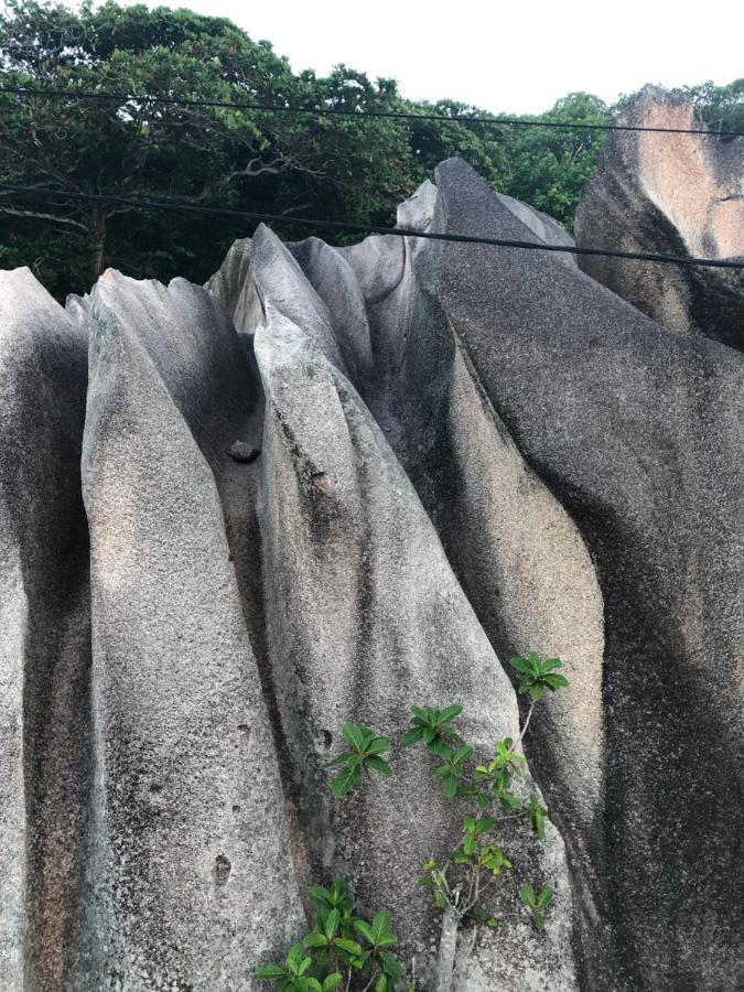 Apartmán La Belle Digue Don La Digue Exteriér fotografie